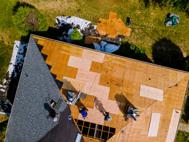 Best Roof Restoration Services  in Clifton Forge, VA