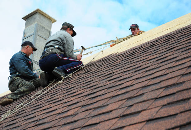 Best Gutter Installation and Roofing  in Clifton Forge, VA