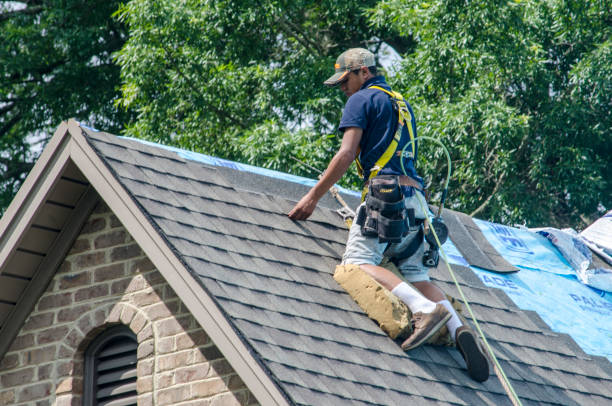 Best Shingle Roofing Installation  in Clifton Forge, VA